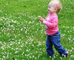 Çocuklarınızı topraktan uzaklaştırmayın!