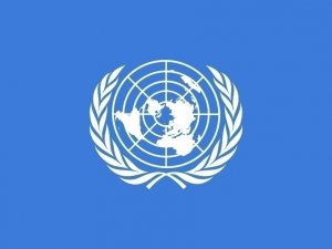 Bm’de 10 Ülke Oy Kullanma Hakkını Kaybetti