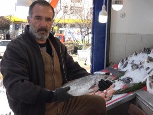 Padişahların Vazgeçilmezi, Denizlerin Kraliçesi Lüferin Kilosu 120 Lira