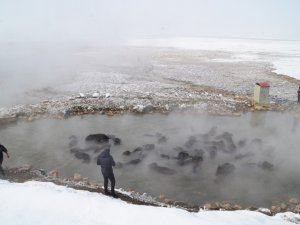 Mandaların Eksi 10 Derecede Kaplıca Sefası