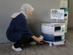 Üniversite Öğrencileri Hurda Lastiklerden Kedilere Yuva Yaptı