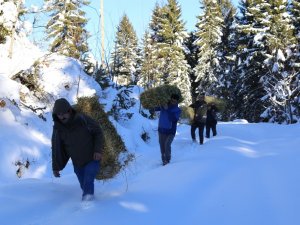 Artvin’de Çetin Kış Şartları Nedeniyle Yaban Hayvanları İçin Doğaya Yem Bırakıldı