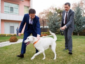 Milli Eğitim Bakanı Selçuk Eğitimdeki Durumu Batuhan Yaşar’a Anlattı