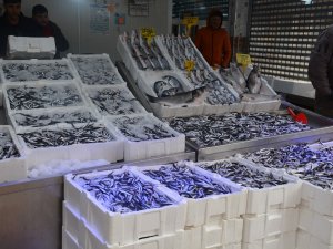 Yerli Hamsi Uzun Bir Aradan Sonra Tezgahlarda