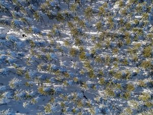 Kazdağları’ndan Kartpostallık Görüntüler