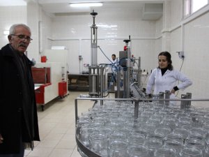 Türkiye’de Arıcı Sayısı 60 Bine Yaklaştı