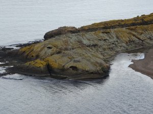 Şaşırtan ‘Timsah Adası’ Havadan Görüntülendi