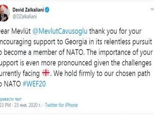 Gürcistan Dışişleri Bakanı, Çavuşoğlu’na Teşekkür Etti