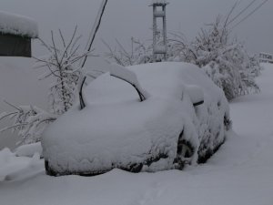 Artvin Beyaza Büründü