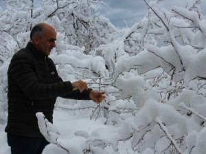 Kar Fındık Üreticisinin Yüzünü Güldürdü