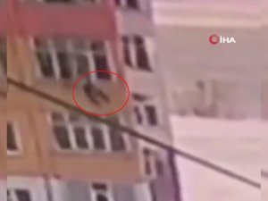 9’uncu Kattan Düştü, Hayatta Kaldı