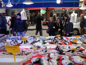 Fiyatı Düşen Hamsiye Hücum