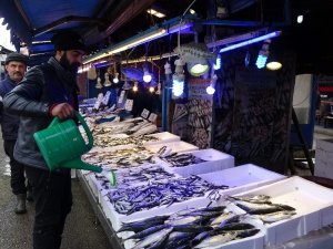 Balıkçılar Hamsiden Umudunu Kesti