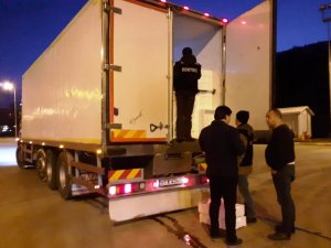 3 İlde 1,5 Ton Balığa El Koyuldu