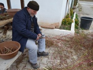 Artvin’de Orman Köylüsü İçin 27 Bin Gelir Getirici Fidan