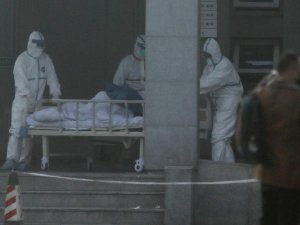 Japon Bilim Adamlarından Korona Virüsü Araştırması