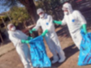 Suudi Arabistan Ve Vietnam’da Kuş Gribi Paniği