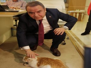 Enkaz Altından Başkanlık Makamına