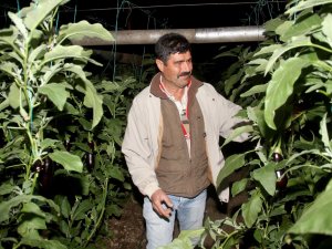 Fethiye’de Sera Üreticisinin Sobalı Don Nöbeti