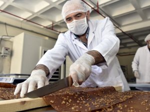"Tüketici Değil Üretici Olmalıyız" Dedi, Organik Pestil Üretti