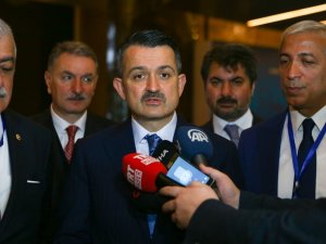 "2019 Yılında 630 Bin Ton Nohut, 44 Bin Ton Yeşil Mercimek Üretildi”