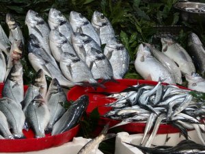 Balık Cenneti Karadeniz’de En Fazla Bu Balıklar Talep Görüyor
