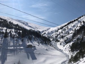 Zigana’da 10 Kişiye Mezar Olan Yere Yine Çığ Geldi