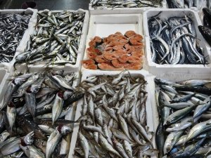 Trabzon’a Hamsi Gürcistan’dan, Uskumru İzmir’den, İstavrit Marmara’dan, Levrek Kafesten Geliyor