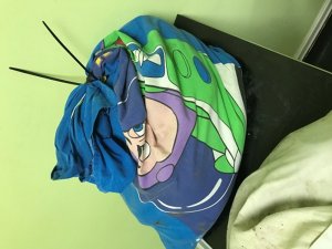 Yastık Kılıfından 29 Yılan Çıktı