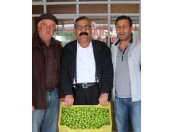 Erik, Üreticinin Yüzünü Güldürdü