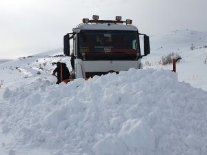 Gümüşhane’de Kapanan Köy Yolları Bu Kez Hayvanlar İçin Açıldı