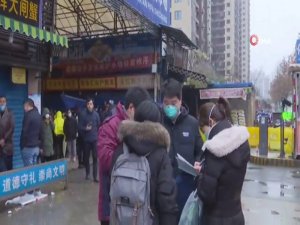 Korona Virüsü Durdurulamıyor