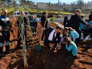 Minik Öğrencilerin Fidan Dikim Heyecanı