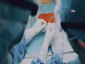 Ukrayna: “Japonya’daki Gemide 2 Vatandaşımızda Daha Virüs Saptandı”