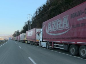 Sarp’ta ’Korona’ Kuyruğu