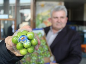 Turfanda Erik Cep Yakıyor
