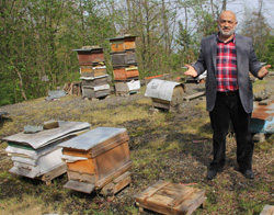 Rize'de Kovan Hırsızlığı