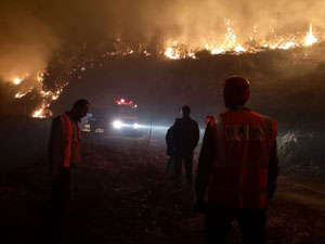 Artvin'deki orman yangınında 10 dönümlük alan zarar gördü