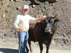 Bu Boğa İsmi İle Korkutuyor