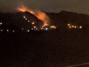 Trabzon’da Orman Yangını