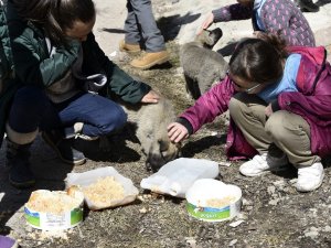 Bu Köy Okulunda Artan Yemekler Sokak Hayvanlarının