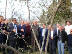 Giresun’da “Örnek Bahçe” Projesi Eğitimi Verildi