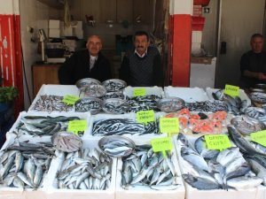 Hamdi Arslan: "Artık Tezgahlarda Çiftlik Balıkları Göreceğiz”