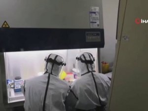 İsveç’te Koronadan İlk Ölüm