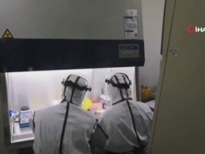 Japonya’da Korona Virüsü Bilançosu Ağırlaşıyor