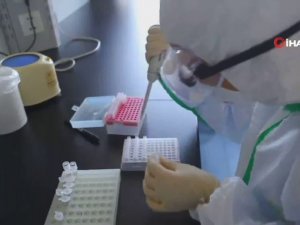 Fas’ta İlk Korona Vakası İyileşti