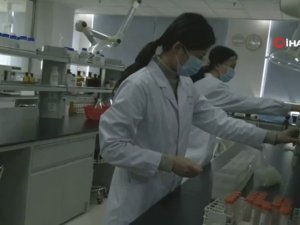 Bulgaristan’da Korona Virüsü Vaka Sayısı 30 Oldu