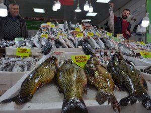 Balık Satışlarını Korona Virüsü Endişesi Vurdu