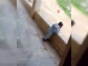 Esad’ın Görünmez Gücü Şebbiha