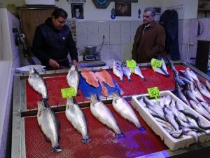 Balık Sezonu Onlar İçin Artık Bitti